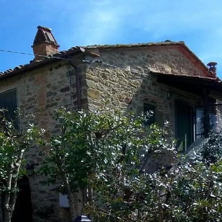 La Cuccia - La Villa-San Pacrazio Ambra Εξωτερικό φωτογραφία